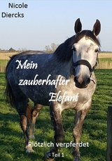 Mein zauberhafter Elefant - Nicole Diercks