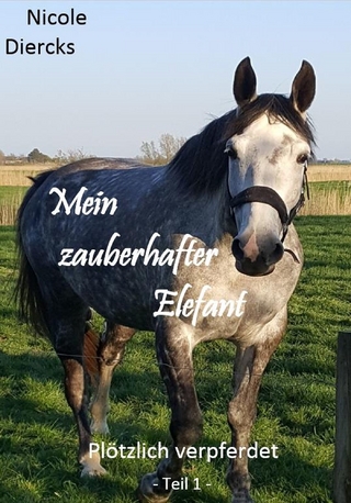 Mein zauberhafter Elefant