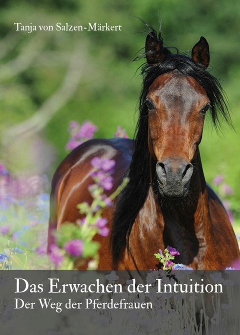 Das Erwachen der Intuition - Tanja Von Salzen-Märkert