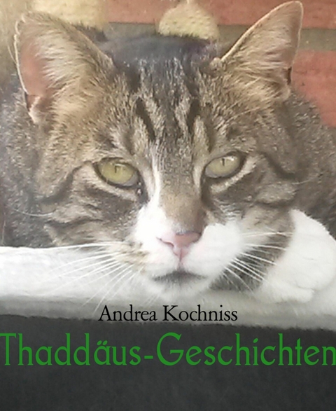 Thaddäus-Geschichten - Andrea Kochniss