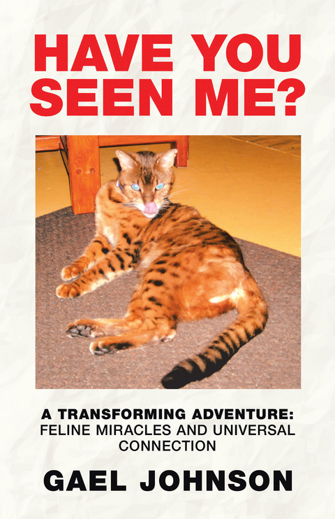 Have You Seen Me? - Gael Johnson