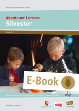 Abenteuer Lernen: Silvester - Abenteuer Lernen e.V.