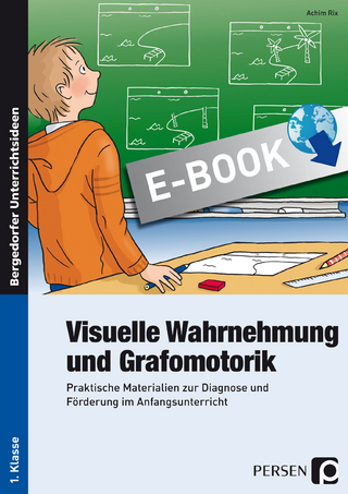 Visuelle Wahrnehmung und Grafomotorik