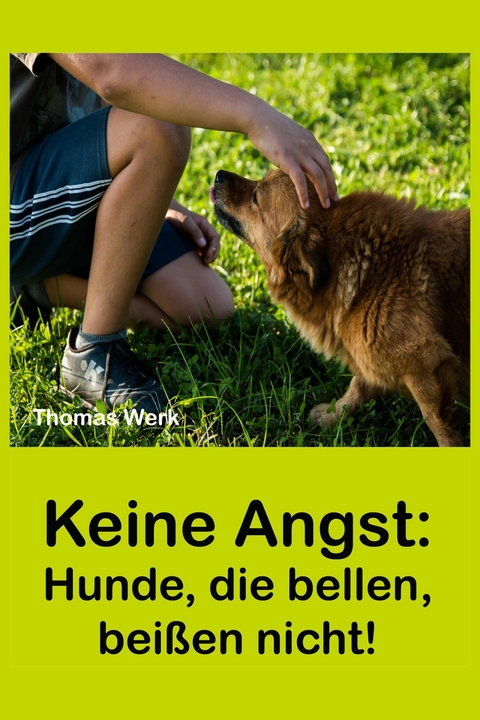 Keine Angst: - Thomas Werk