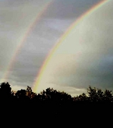 Abschied und Neubeginn - Brushwood Mikel