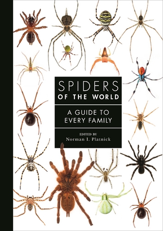 Spiders of the World