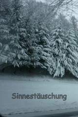 Sinnest&auml;uschung - O. Trilling