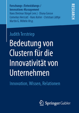 Bedeutung von Clustern f&uuml;r die Innovativit&auml;t von Unternehmen - Judith Terstriep