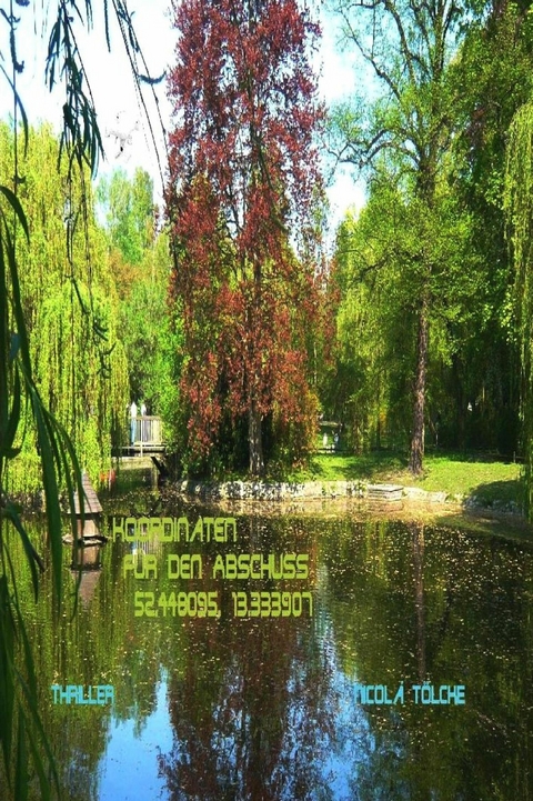 Koordinaten f&uuml;r den Abschuss 52.448095, 13.333907 - Nicol&agrave; T&ouml;lcke