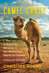 Camel Crazy - Christina Adams