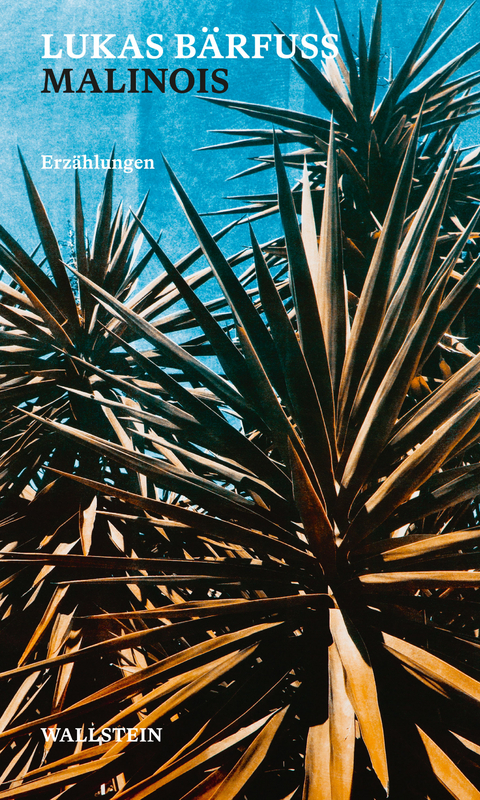 Malinois -  Lukas B&auml;rfuss