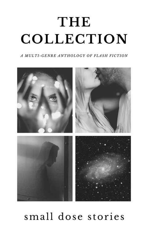 The Collection : A Multi-Genre Anthology of Flash Fiction -  Suzanne Maddox