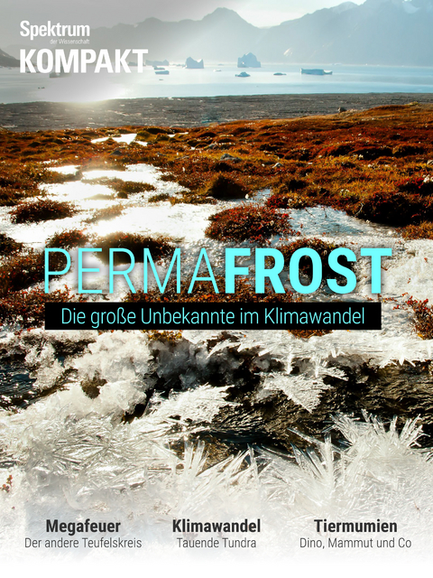 Spektrum Kompakt - Permafrost -  Spektrum der Wissenschaft