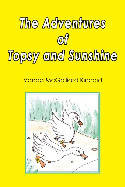 The Adventures of Topsy and Sunshine - Vanda McGalliard Kincaid