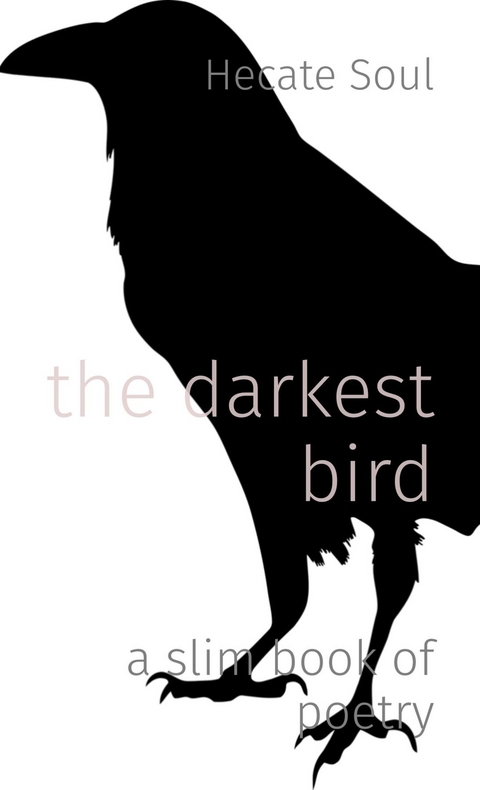 the darkest bird - Jude Naples