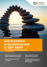 Schnittstellenprogrammierung in SAP ABAP - Dr. Boris Rubarth