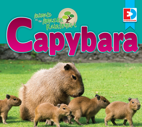 Animals of the Amazon Rainforest: Capybara - Katie Gillespie
