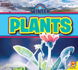 Plants - Jenna Gleisner
