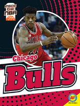 Chicago Bulls - Josh Anderson