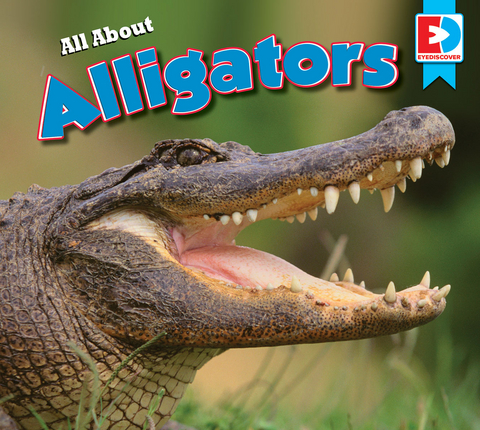 All About Alligators - Candice Letkeman