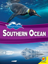 Southern Ocean - Rowena Rae