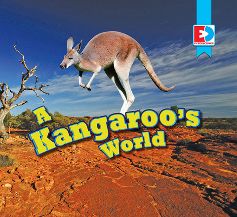 A Kangaroo's World - Katie Gillespie