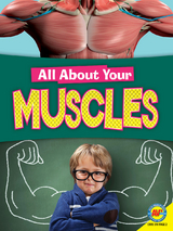 Muscles - Jane P. Gardner
