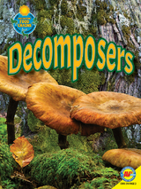 Decomposers - Megan Lappi