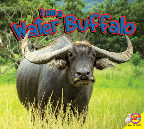 Water Buffalo - Piper Whelan