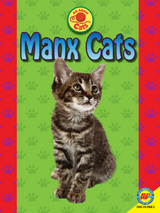 Manx Cats - Tammy Gagne