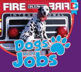 Dogs with Jobs - Katie Gillespie