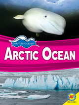 Arctic Ocean - Samantha Nugent