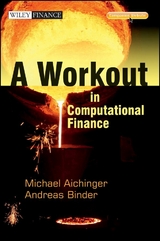 A Workout in Computational Finance - Andreas Binder, Michael Aichinger