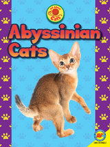 Abyssinian Cats - Tammy Gagne