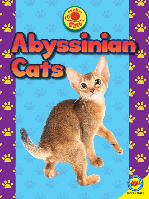 Abyssinian Cats - Tammy Gagne