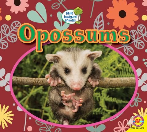 Opossums - Heather Kissock