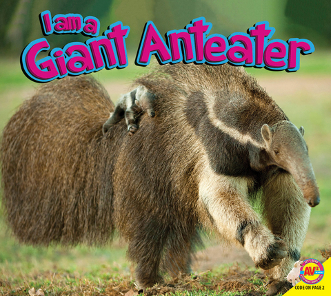 Giant Anteater - Katie Gillespie