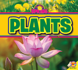 Plants - M. J. York
