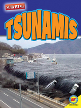 Tsunamis - Marne Ventura