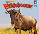 All About Wildebeests - Katie Gillespie