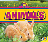 Animals - M. J. York
