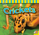 Crickets - John Willis