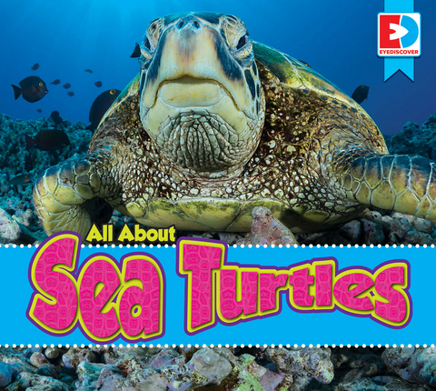 All About Sea Turtles - Katie Gillespie