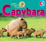 Animals of the Amazon Rainforest: Capybara - Katie Gillespie