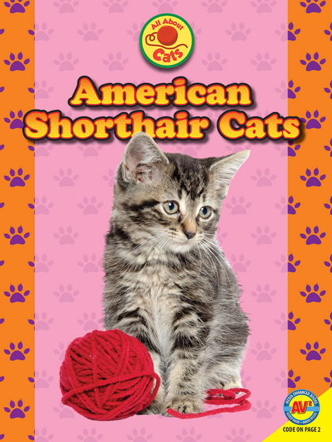 American Shorthair Cats - Nancy Furstinger