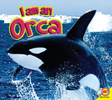 Orca - John Willis