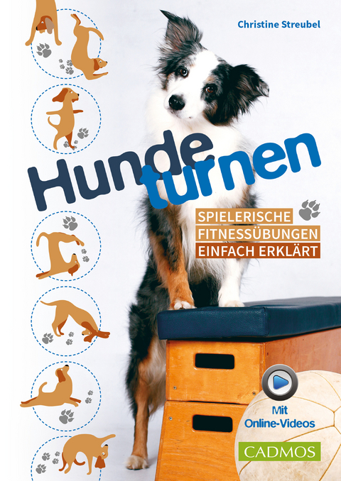 Hundeturnen -  Christine Streubel