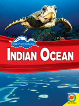 Indian Ocean - Helen Friesen