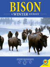 Bison: A Winter Journey - Rebecca Hirsch