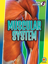 Muscular System - Simon Rose